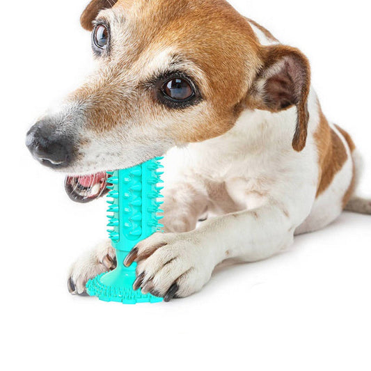 Teeth Cleaning Dog Bite Toy