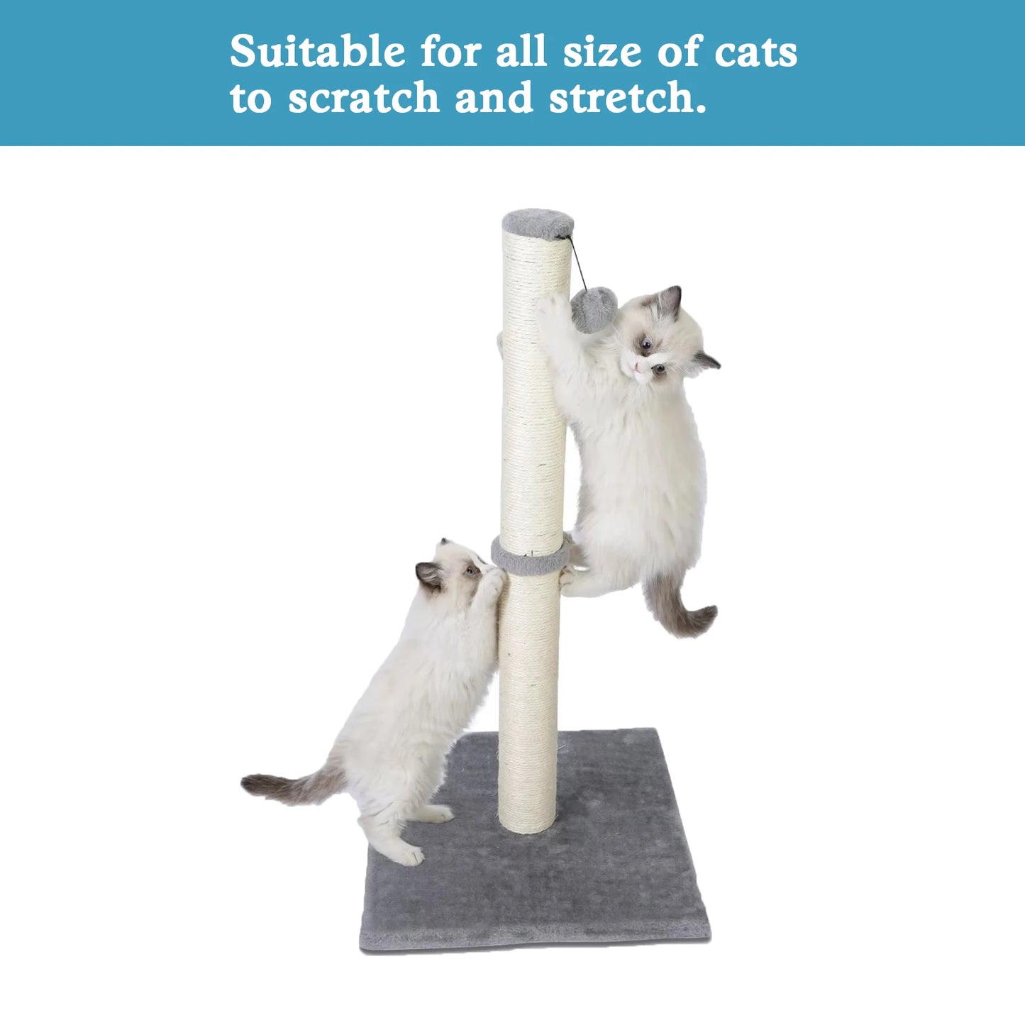 Tall Sisal Cat Scratching Post for Indoor Cats & Kittens