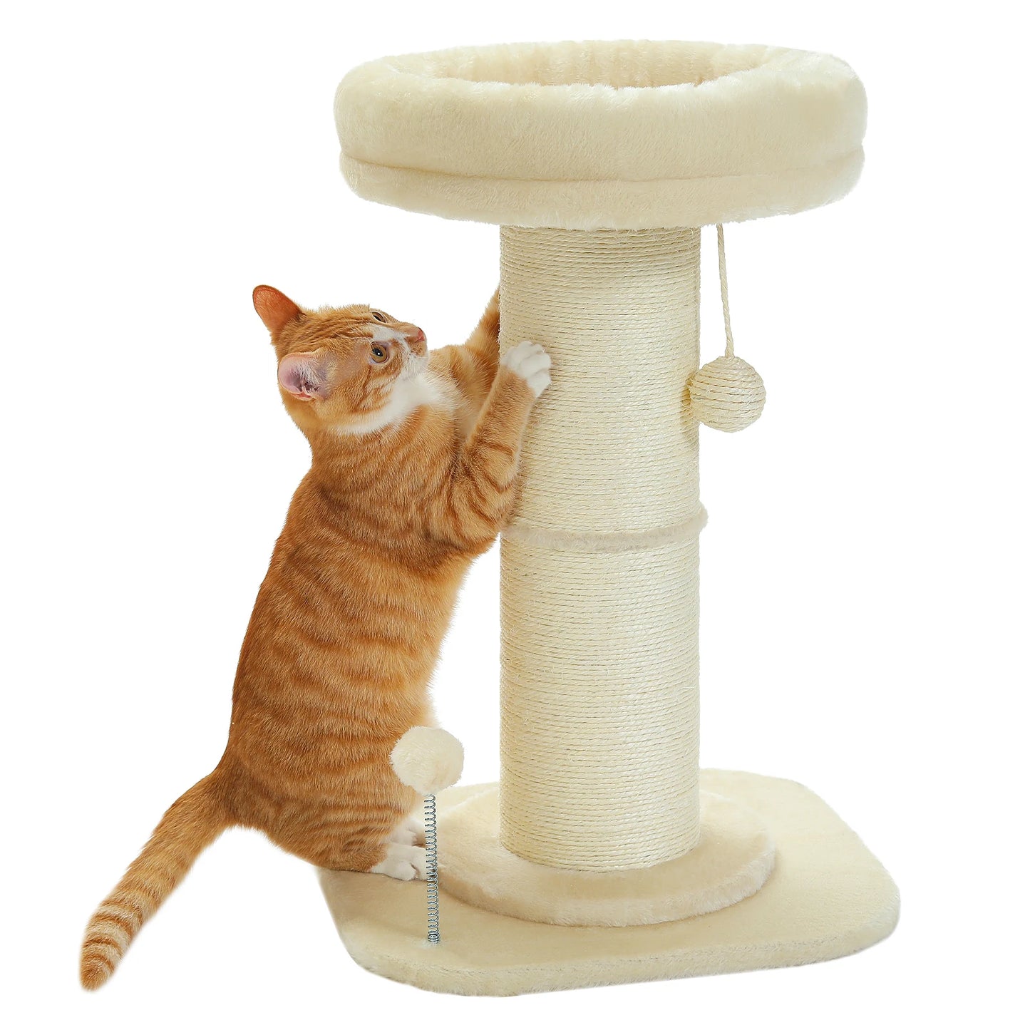 Cat Scratching Post & Play Tree