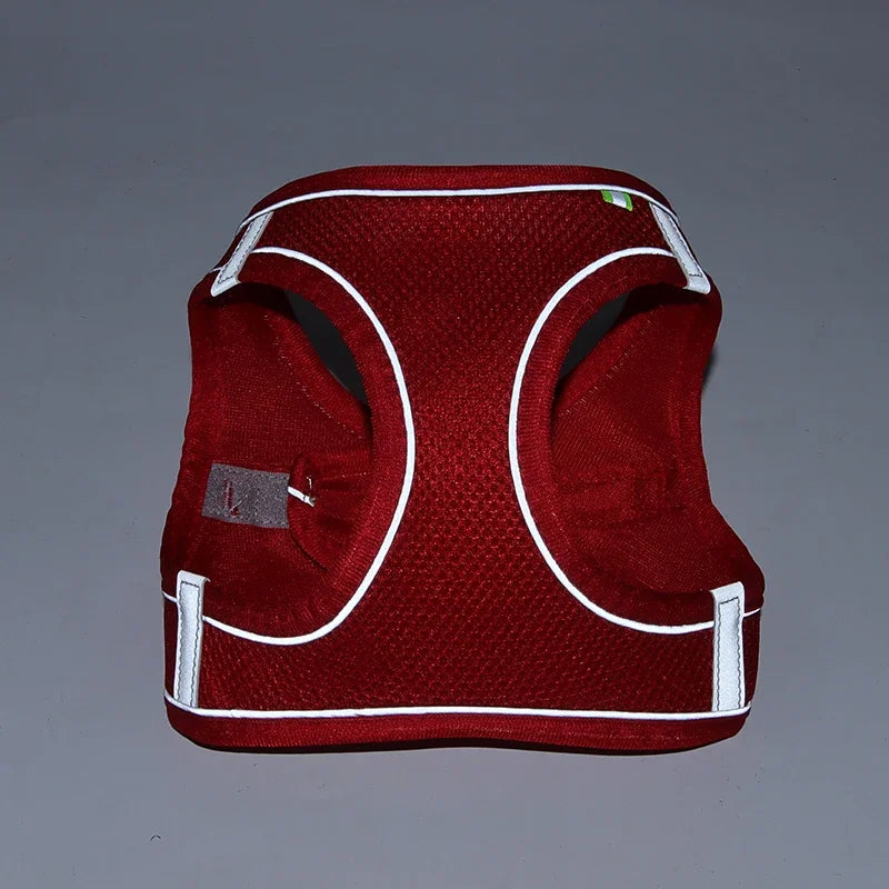 Puppy Harness Set – Adjustable Dog & Cat Harness with Leash