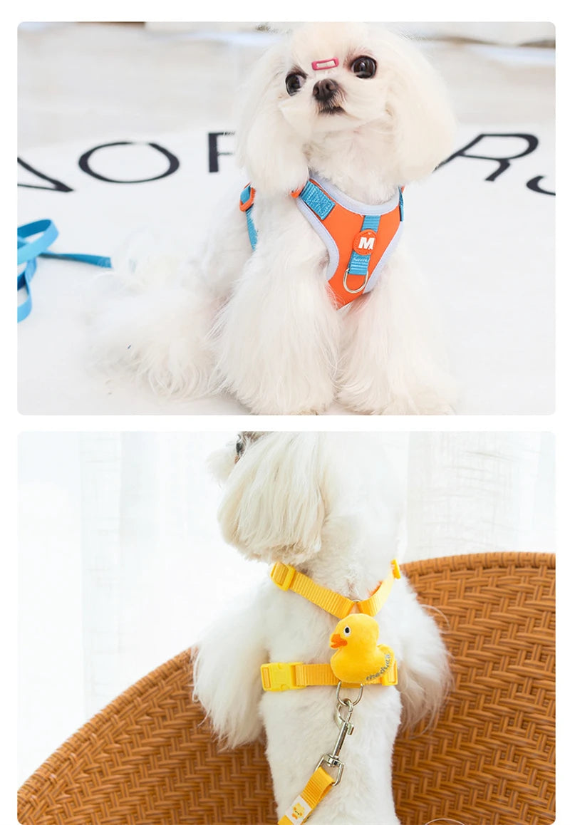 Adjustable Dog Collar & Harness Set