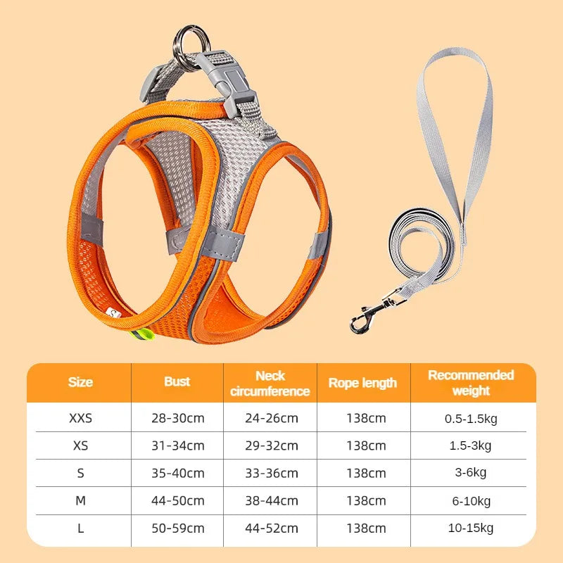 Puppy Harness Set – Adjustable Dog & Cat Harness with Leash