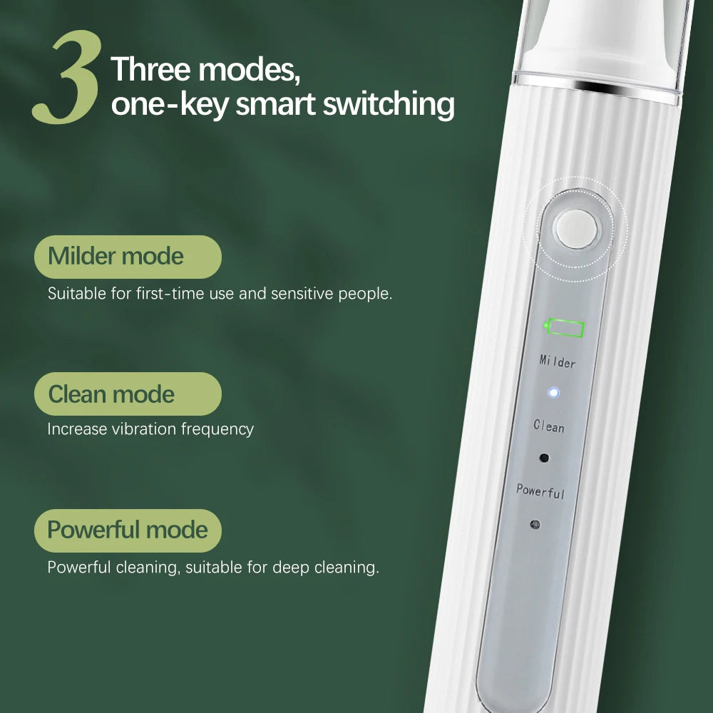 Dental Scaler with HD Endoscope Visual Display