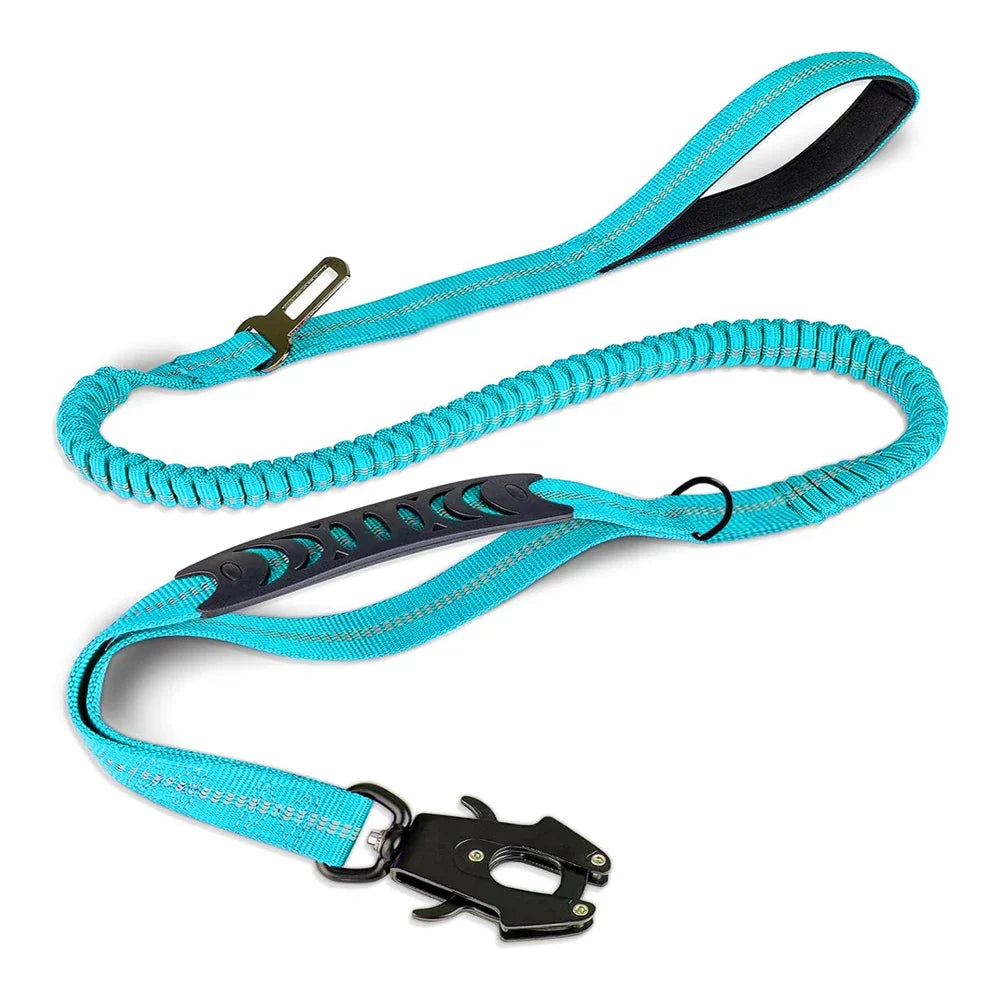 Turquoise dog leash with black clip on a white background