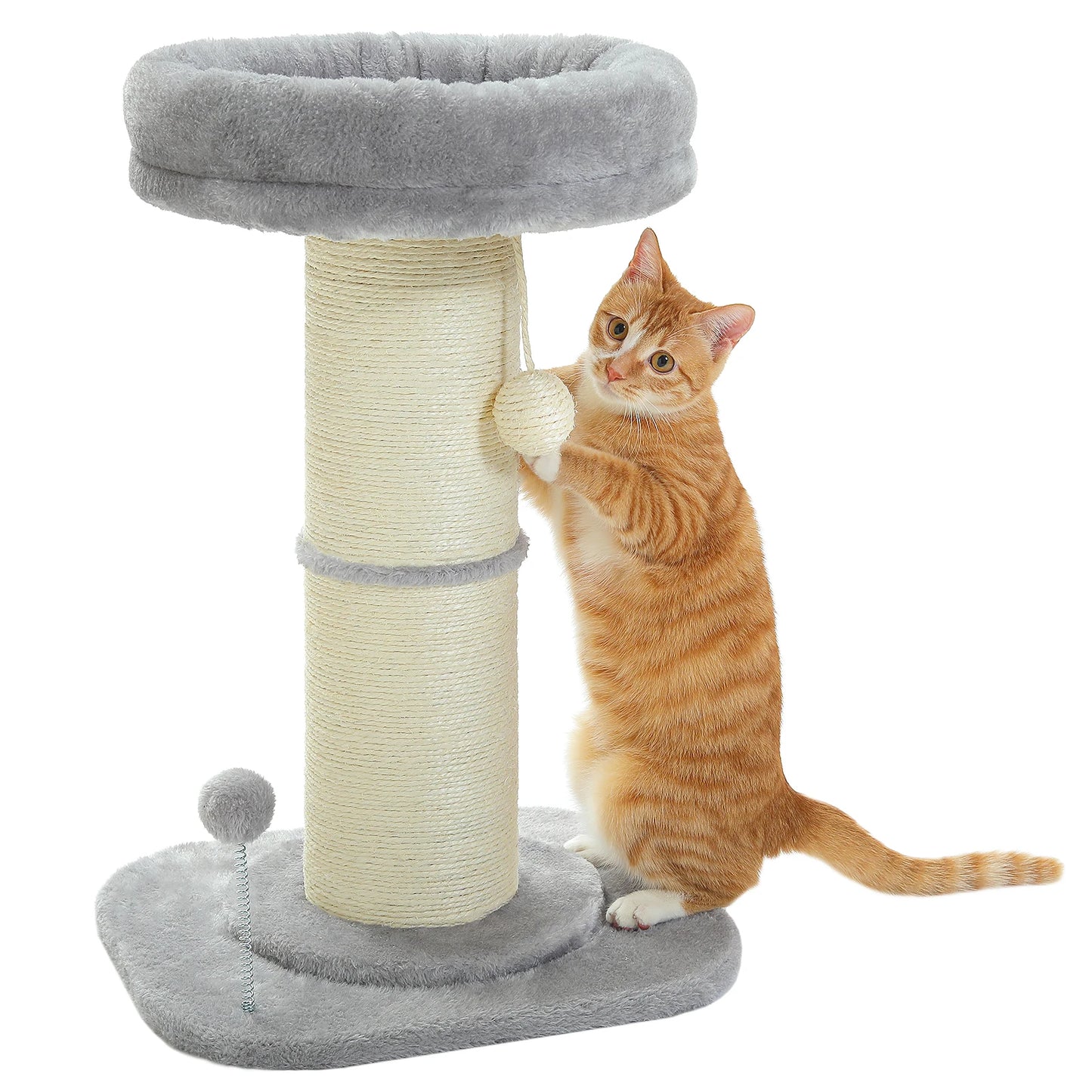 Cat Scratching Post & Play Tree