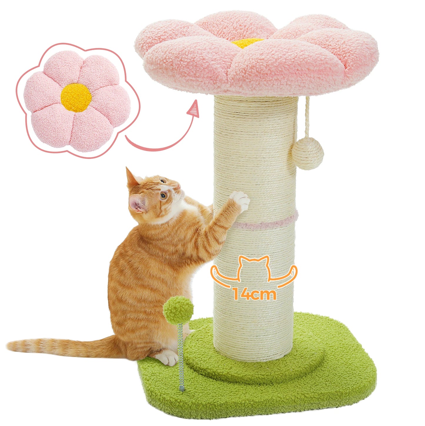 Cat Scratching Post & Play Tree
