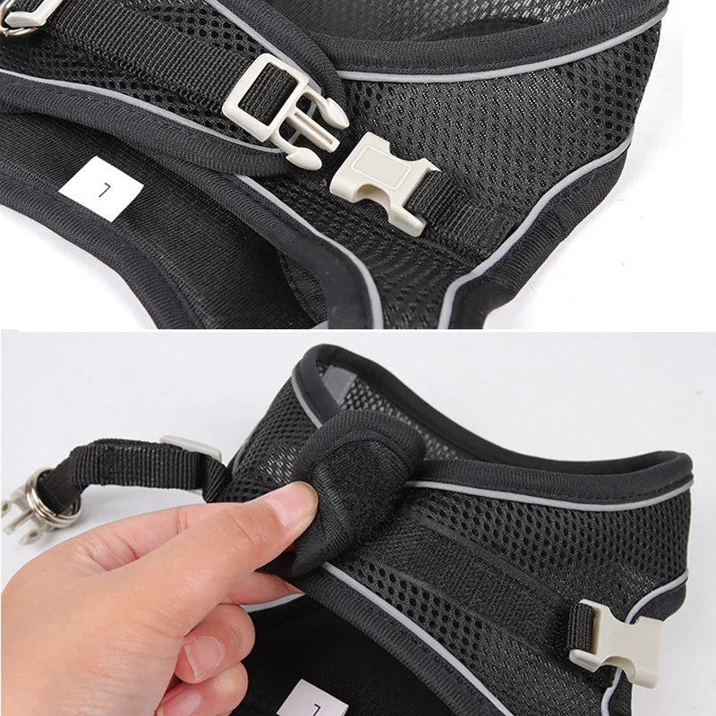 Puppy Harness Set – Adjustable Dog & Cat Harness with Leash