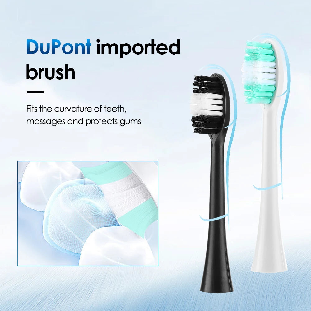 Teeth Whitening Sonic Scaler: Removes Plaque, Calculus, and Stains
