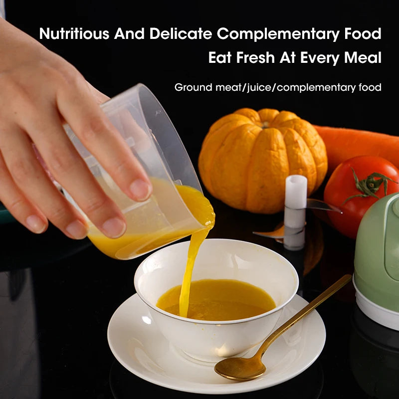 250ml Electric Food Chopper – USB Garlic Masher, Meat & Vegetable Grinder