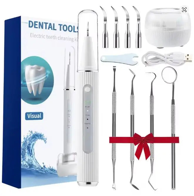 Dental Scaler with HD Endoscope Visual Display
