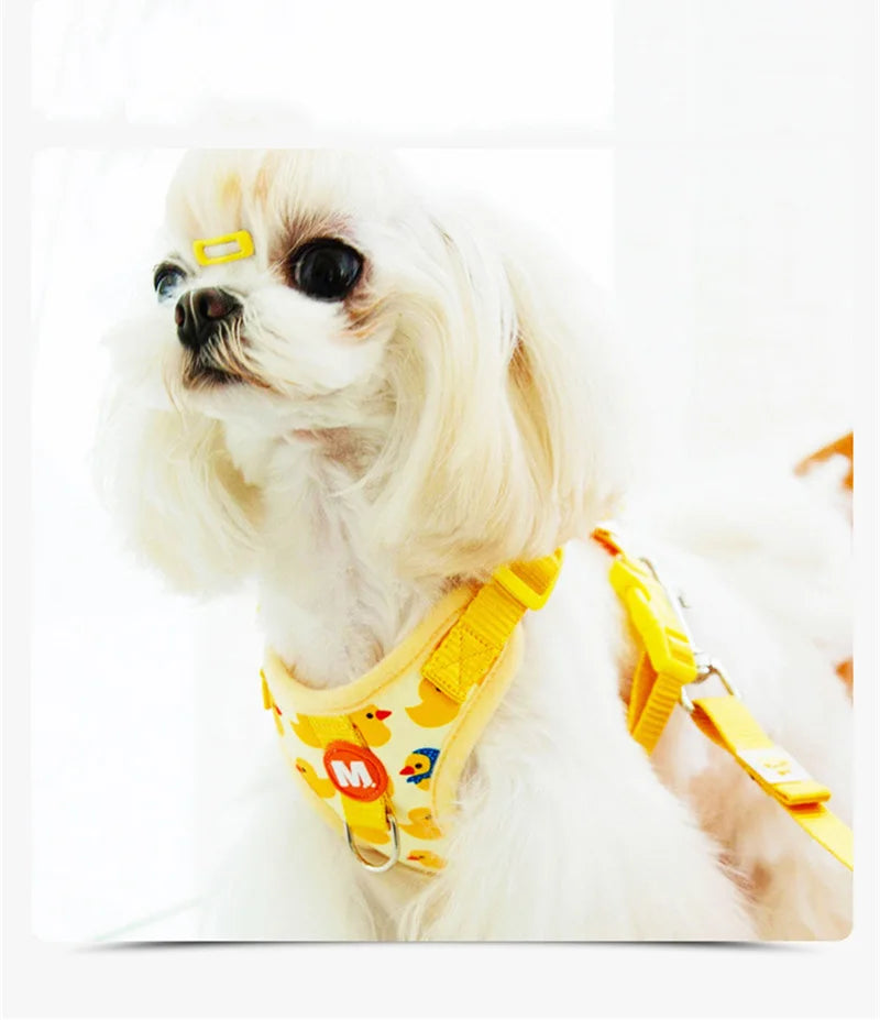 Small dog wearing a yellow harness with colorful letters on a white background