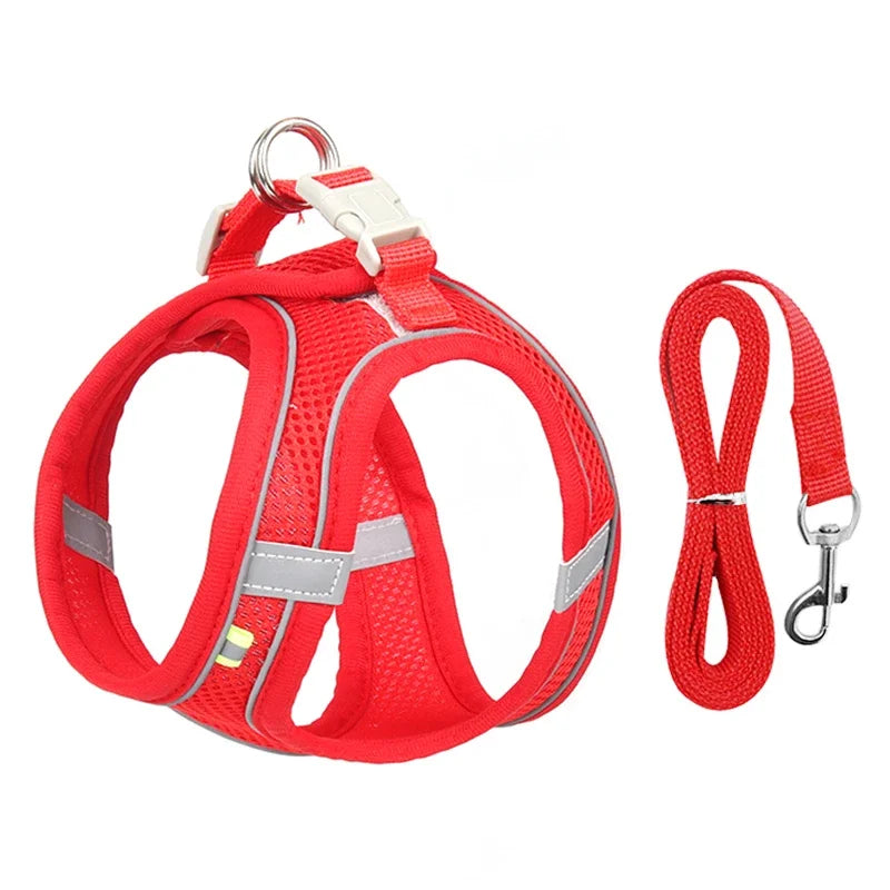 Puppy Harness Set – Adjustable Dog & Cat Harness with Leash