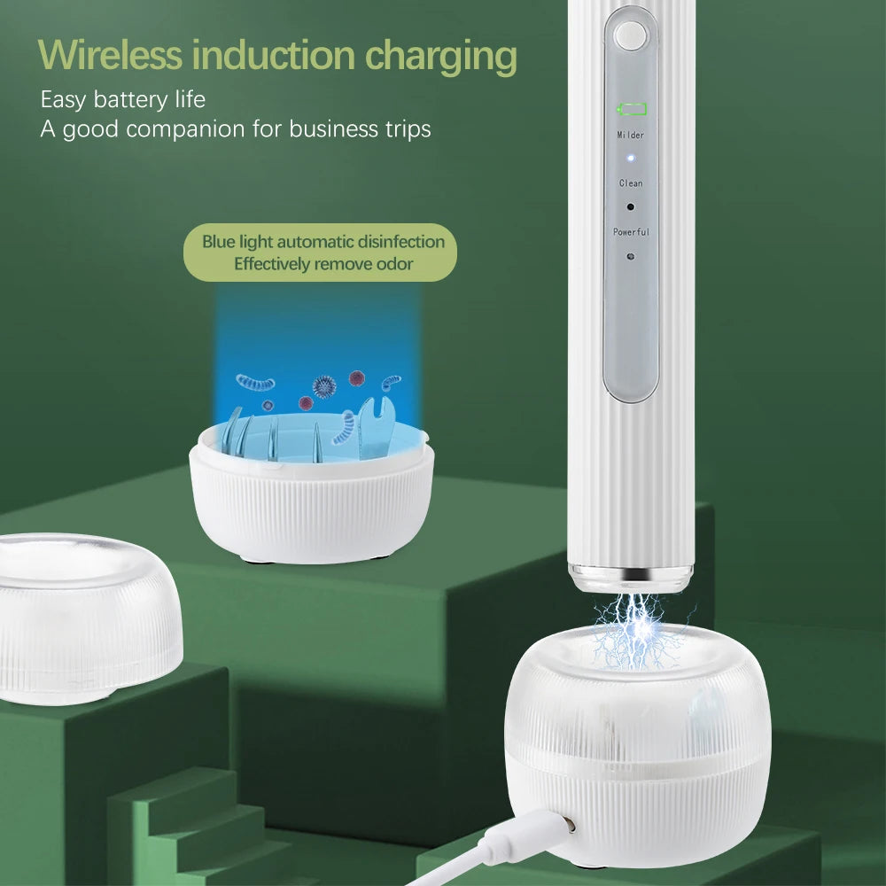 Dental Scaler with HD Endoscope Visual Display