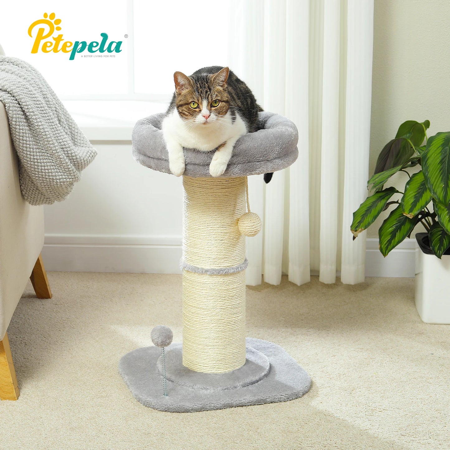 Cat Scratching Post & Play Tree
