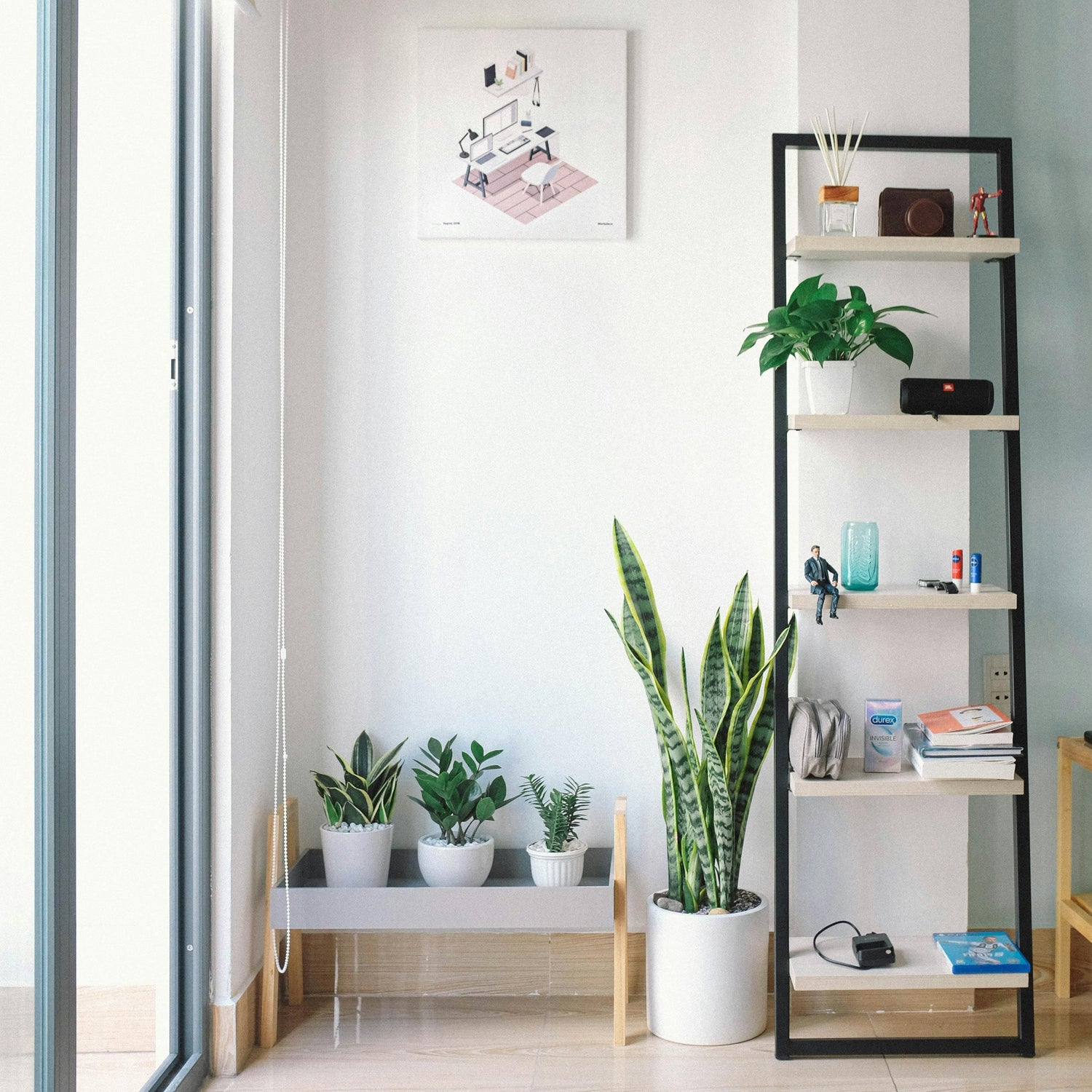 Home & Office Decor