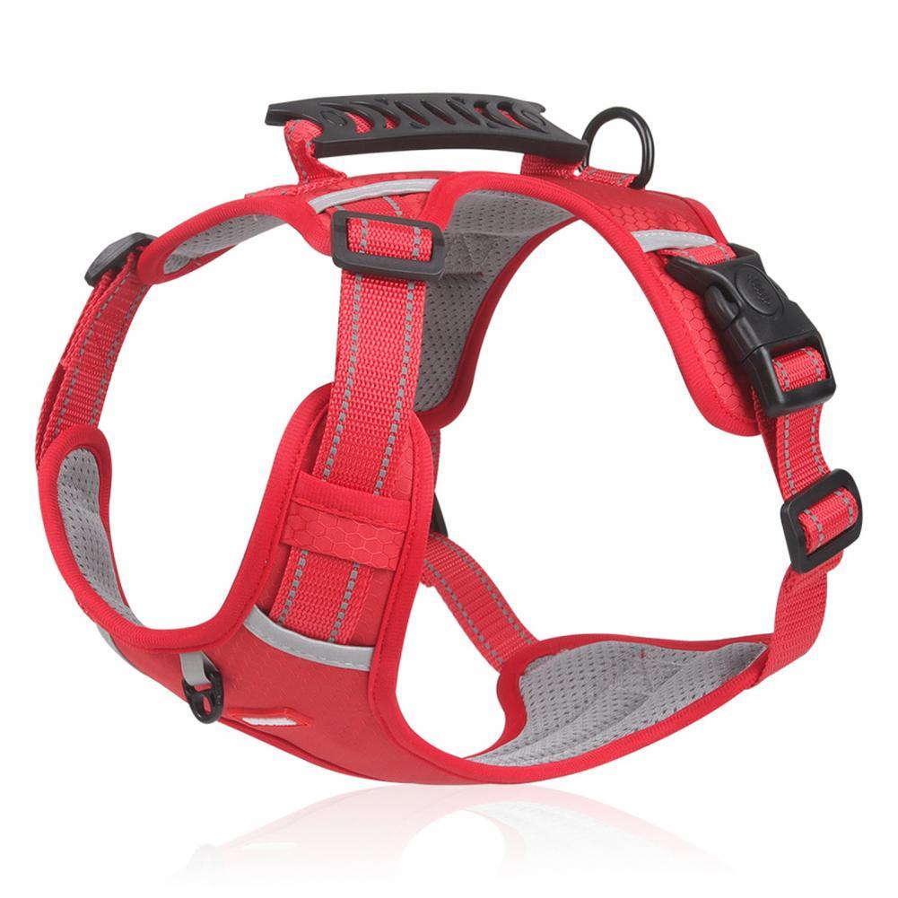 Nylon Breathable Dog Harness For Small & Large Dogs