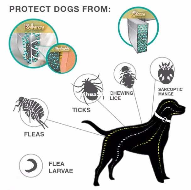 Premium Flea & Tick Collar for Dogs & Cats