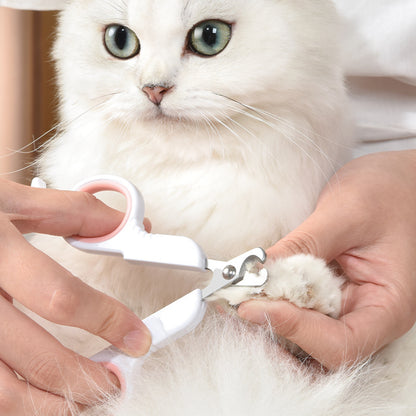 Person trimming a white cat's nails with a pet nail clipper.