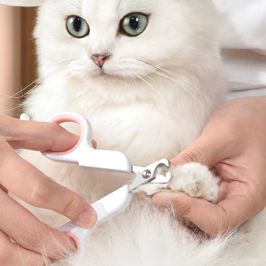 Person trimming a white cat's nails with a pet nail clipper.