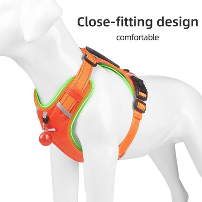 Nylon Breathable Dog Harness For Small & Large Dogs