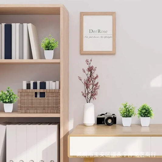 Modern interior with wooden shelves, plants, and a framed picture on a light gray wall.