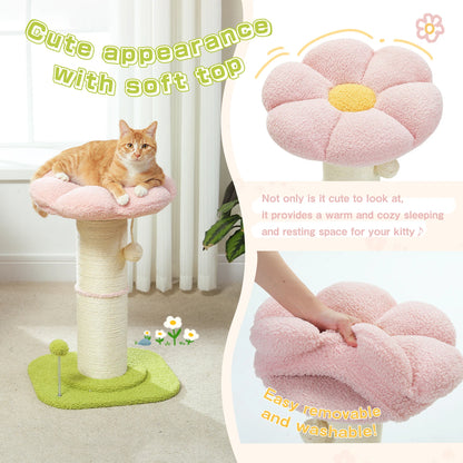 Cat Scratching Post & Play Tree