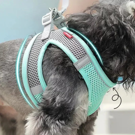Puppy Harness Set – Adjustable Dog & Cat Harness with Leash