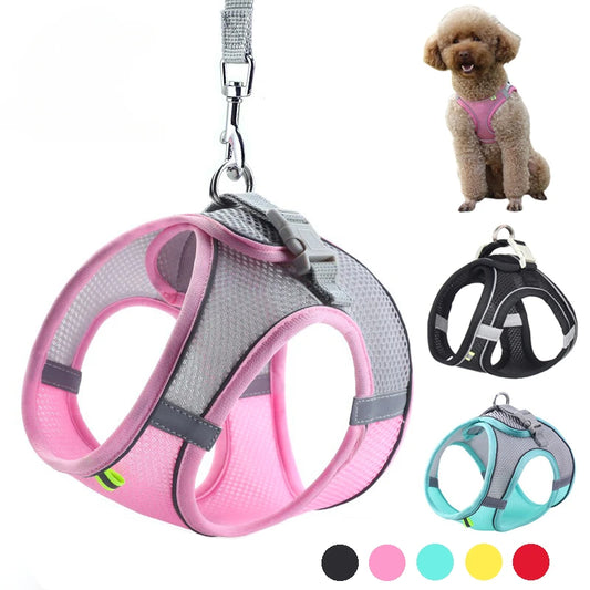 Puppy Harness Set – Adjustable Dog & Cat Harness with Leash