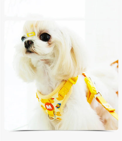 Small dog wearing a yellow harness with colorful letters on a white background